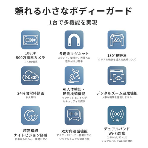 SpotCam Pano 3_画像2