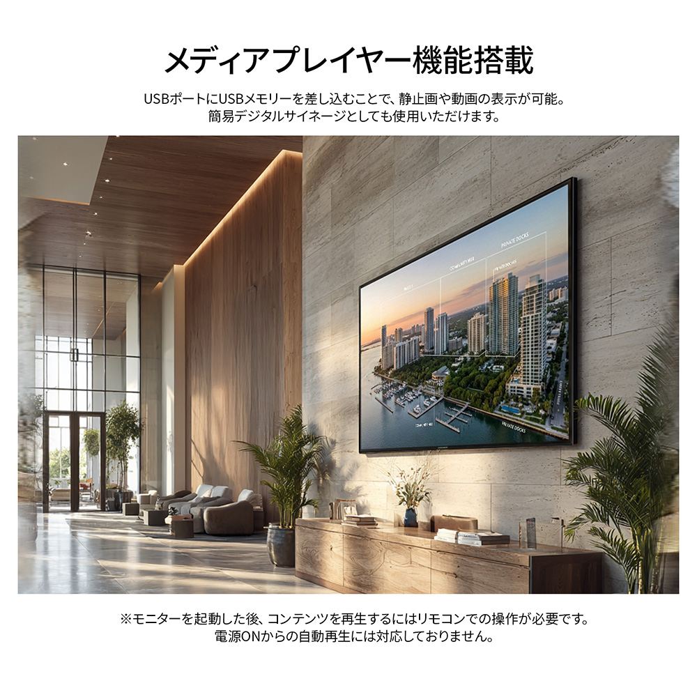 JN-V100U-M-H5_画像5