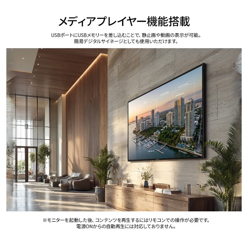 JN-V100U-M-H3_画像5