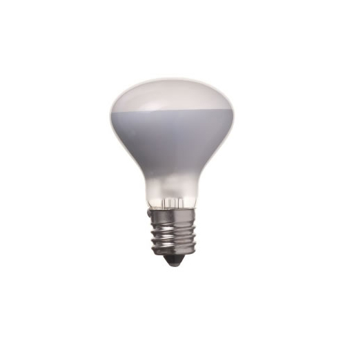 YAZAWA R4517302P [ミニレフ球 R45 E17 30W 2個パック]