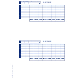 オービック 奉行サプライ 09-SP6202 [単票封筒用支給明細書(6202)]