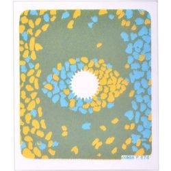 ケンコー Cokin Pシリーズ 83×100mm角 センタースポットフィルター ブルー&イエロー P674 [200674]