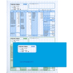 ソリマチ SR281 [給与・賞与明細(明細タテ)・封筒割引セット 500枚]